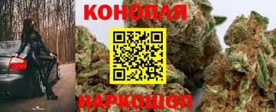 крисы Донецк